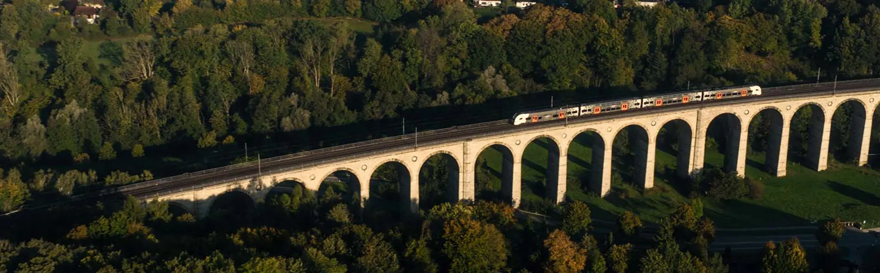 Train On A Bridge
